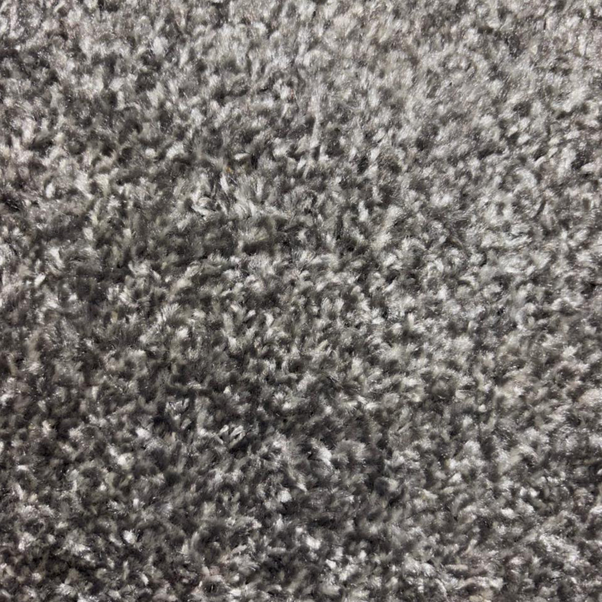 Spectrum Muse Plus - Series