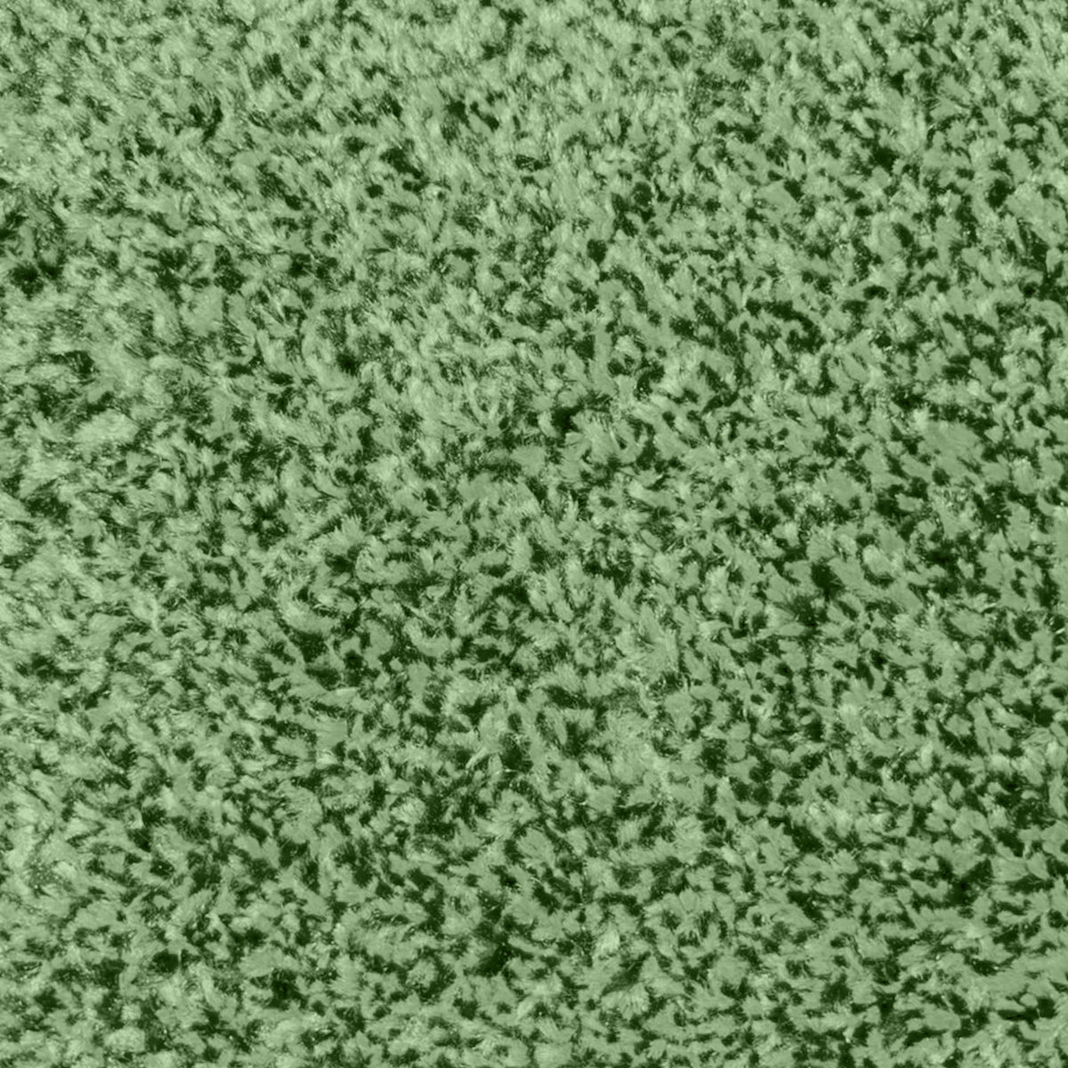 Spectrum Muse - Series