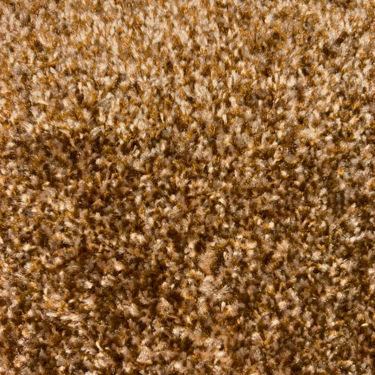 Spectrum Muse - Series