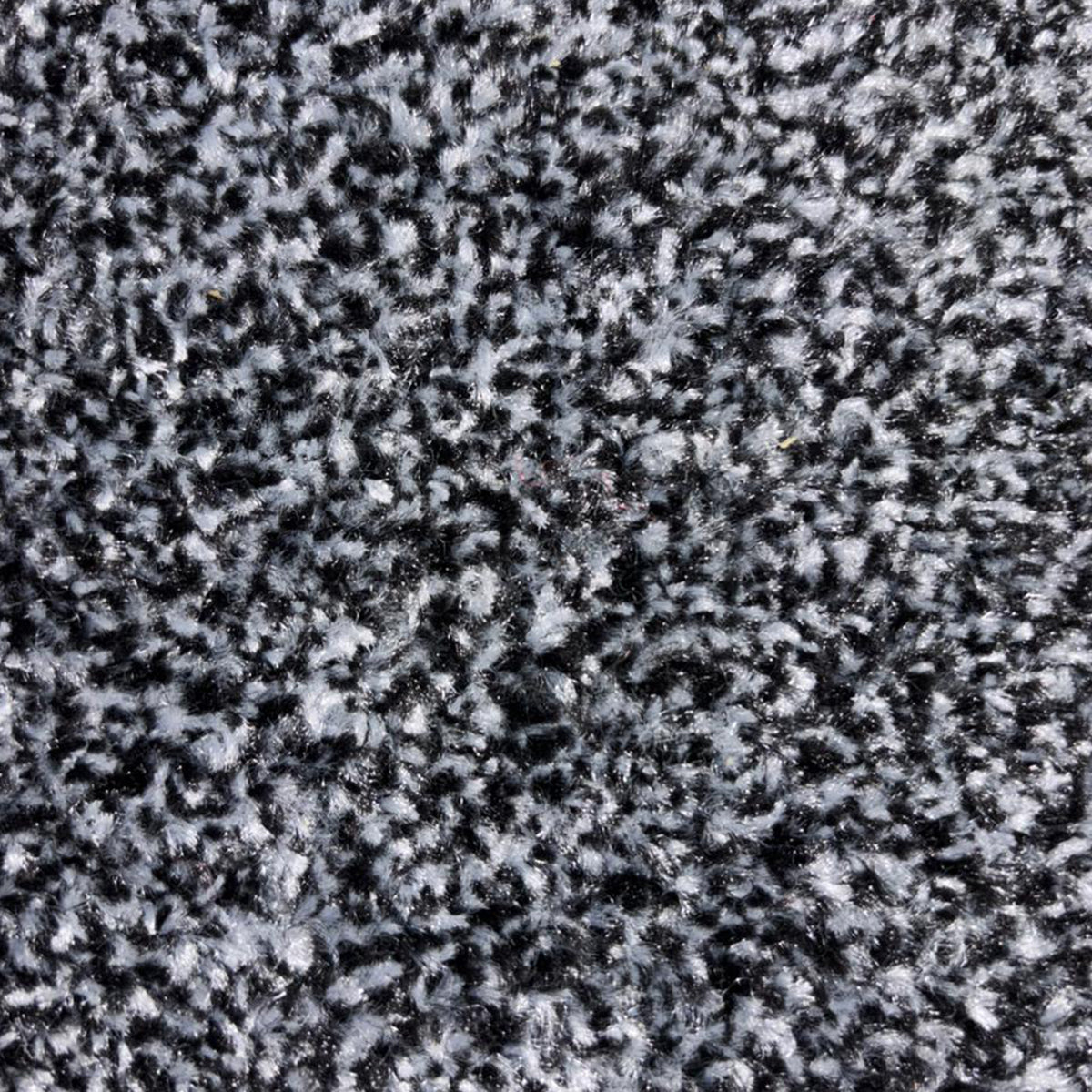 Spectrum Muse - Series