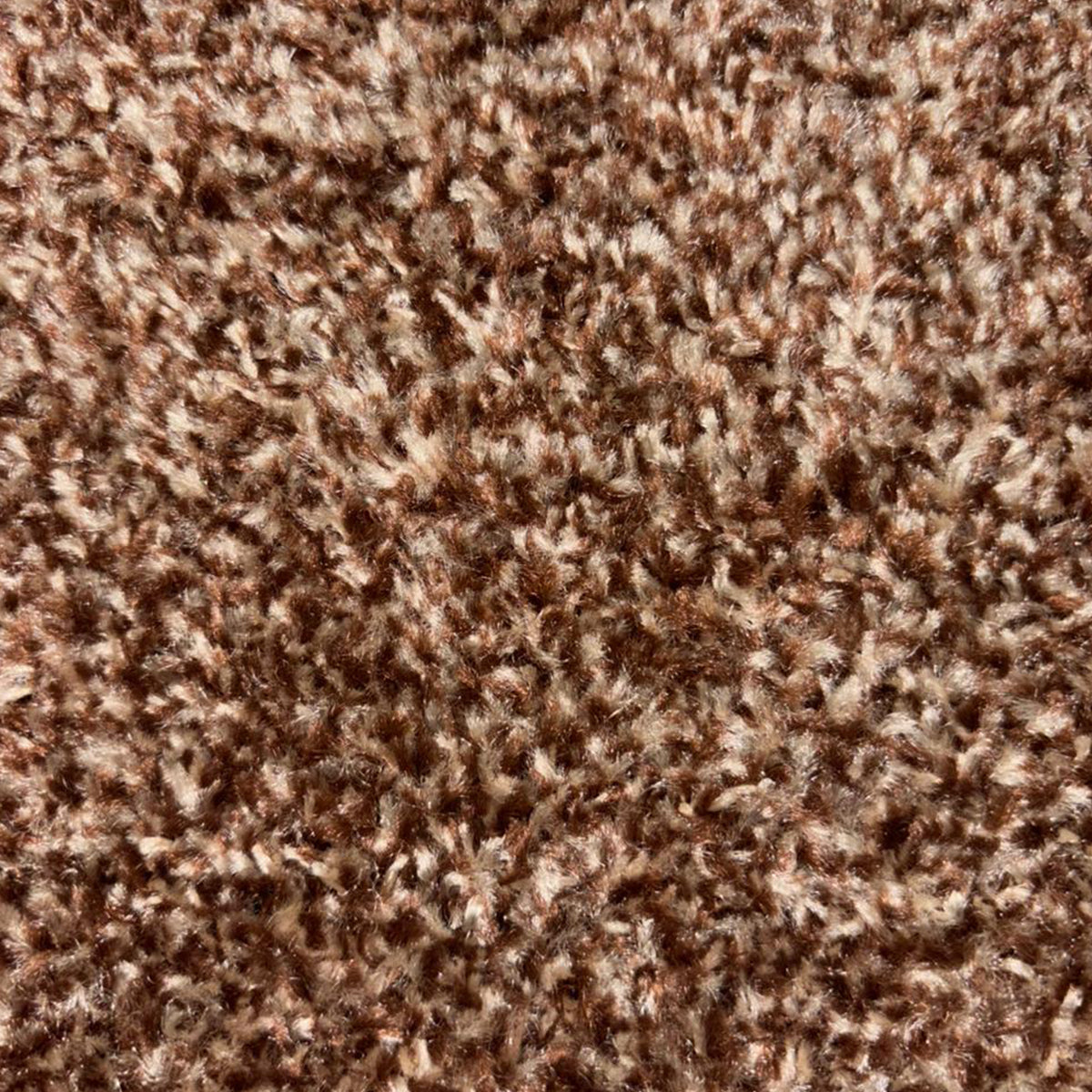 Spectrum Muse - Series