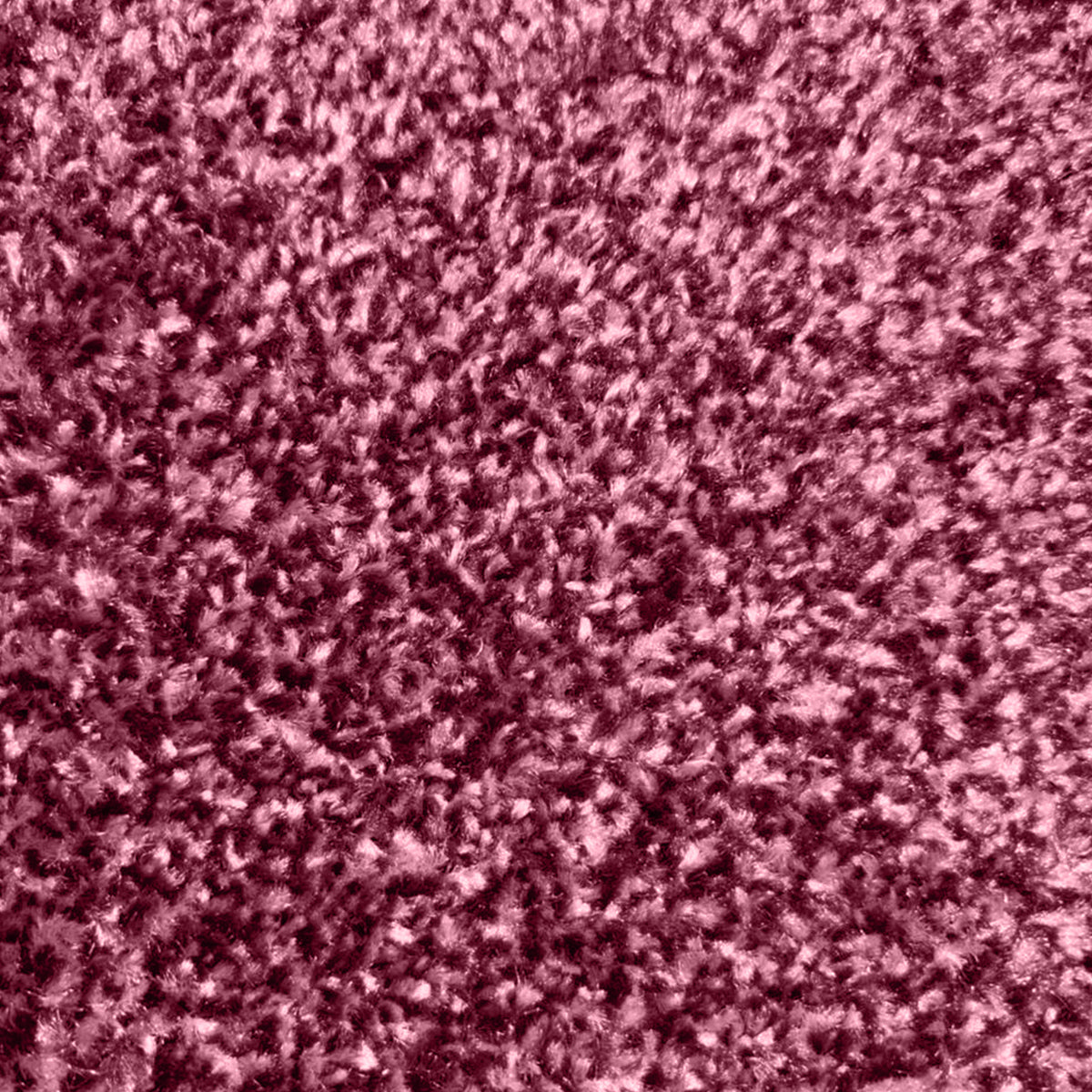 Spectrum Muse - Series