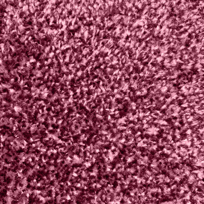 Spectrum Muse Plus - Series