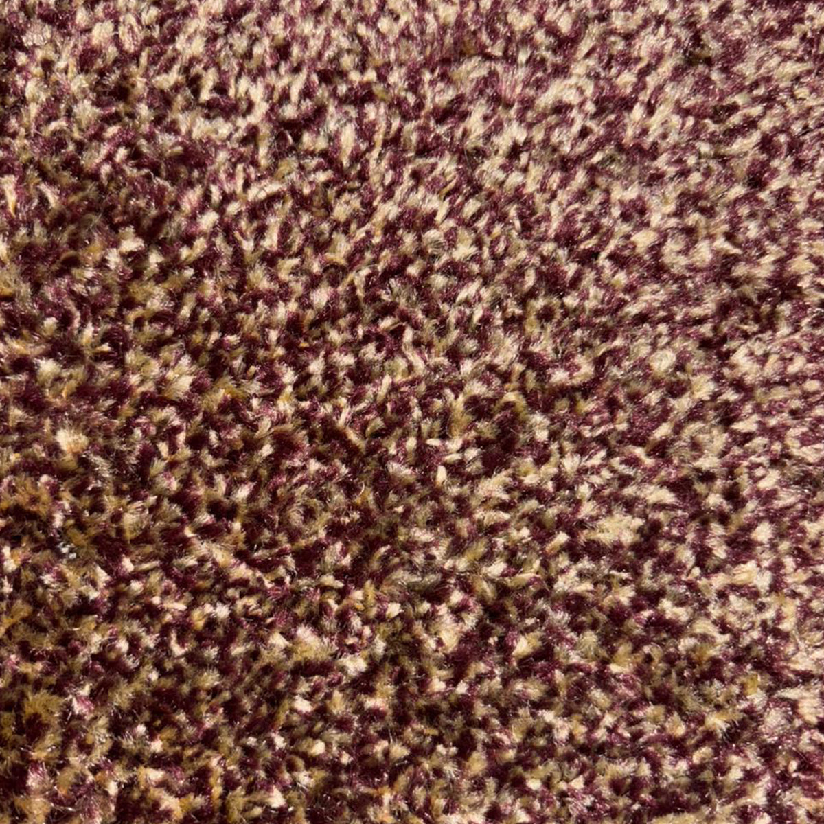 Spectrum Muse Plus - Series